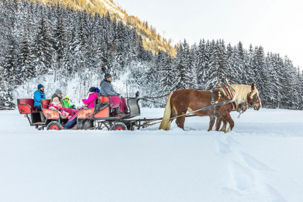 Pferdeschlittenfahrten - Winterurlaub in Flachau, Ski amadé