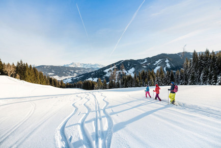 Schneeschuhwandern - Winterurlaub in Flachau, Ski amadé